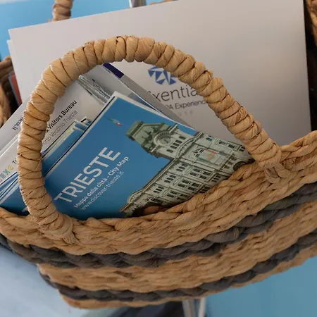 Daire Ninael International