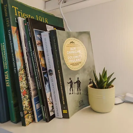 Ninael International شقة *