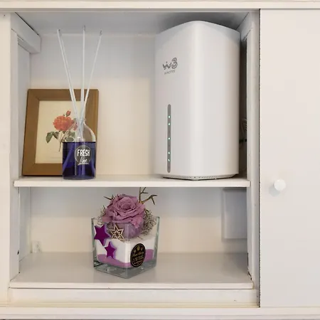 Ninael International ترييستي