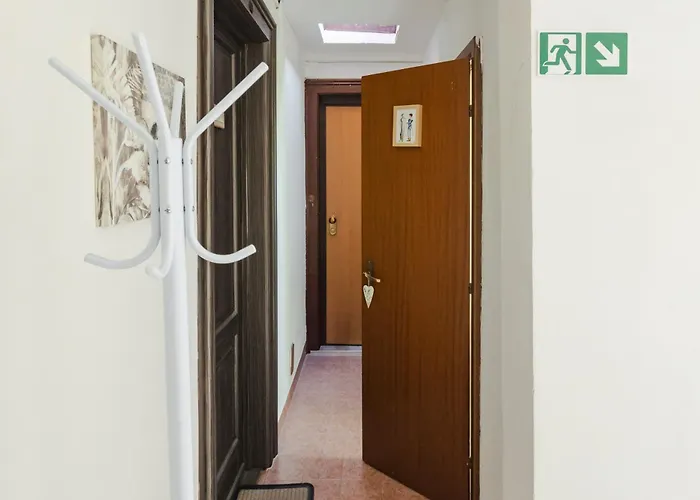 Ninael International *