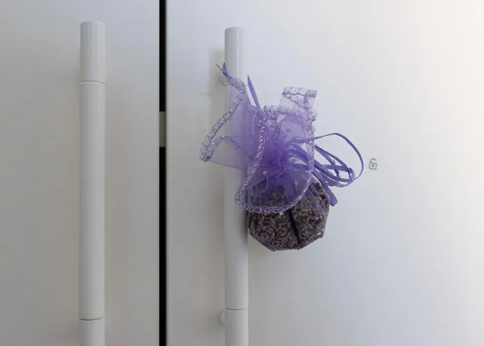 Ninael International Trieste